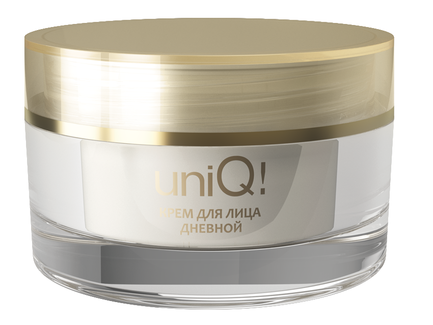 uniQ_dnevnoy